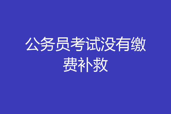 公务员考试没有缴费补救