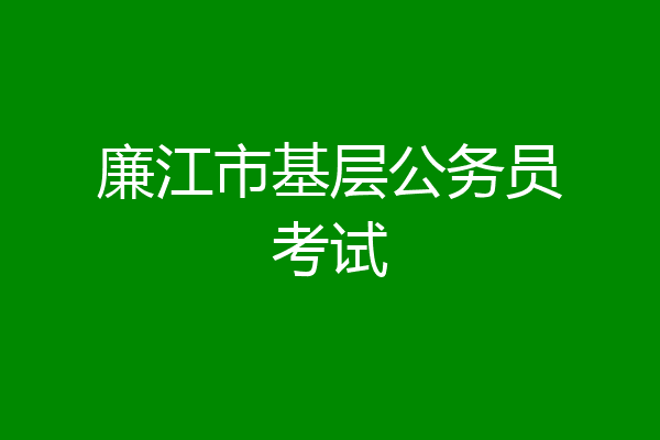 廉江市基层公务员考试