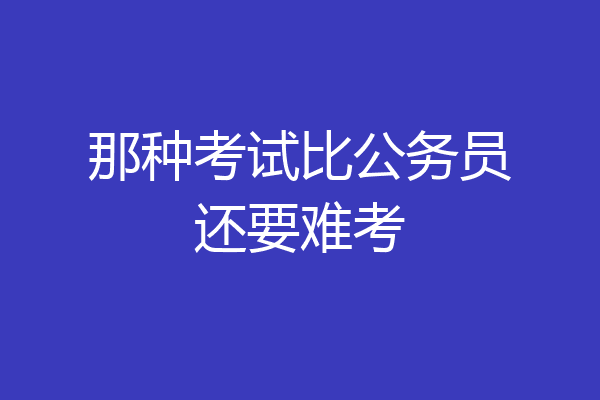 那种考试比公务员还要难考