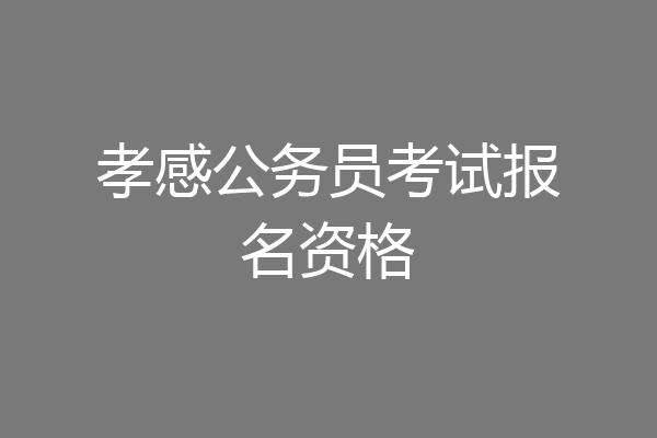 孝感公务员考试报名资格