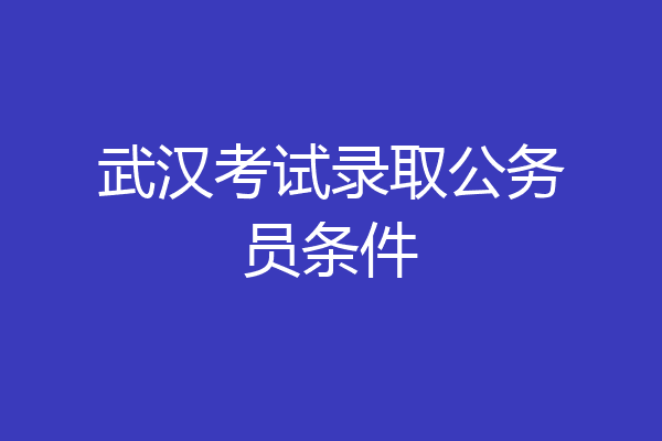 武汉考试录取公务员条件