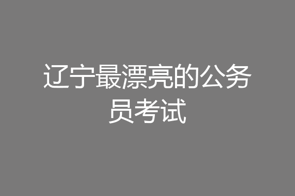 辽宁最漂亮的公务员考试