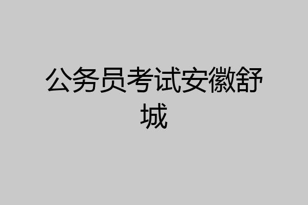 公务员考试安徽舒城