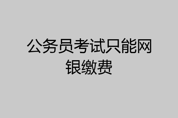 公务员考试只能网银缴费
