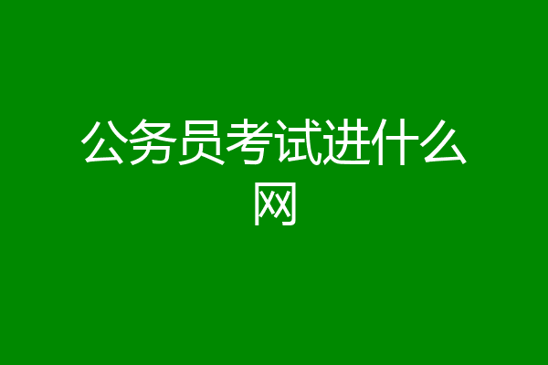 公务员考试进什么网