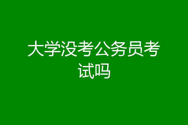 大学没考公务员考试吗