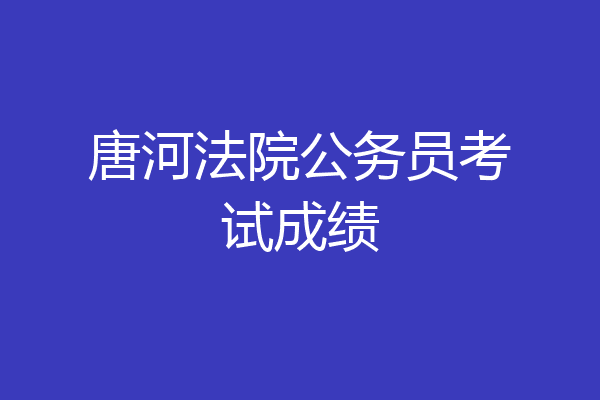 唐河法院公务员考试成绩