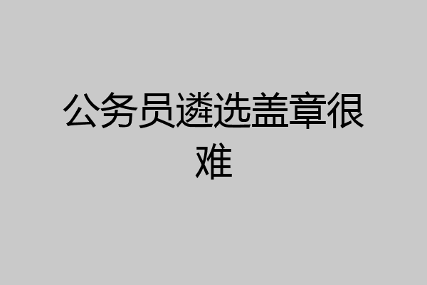 公务员遴选盖章很难