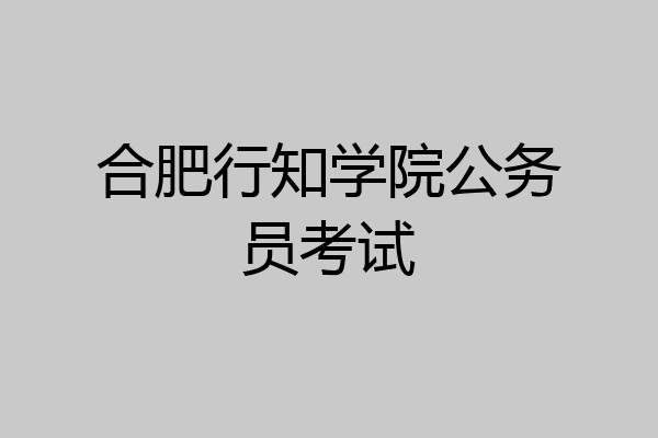 合肥行知学院公务员考试