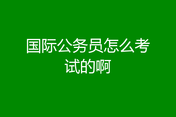 国际公务员怎么考试的啊