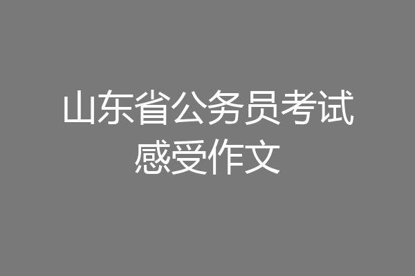 山东省公务员考试感受作文