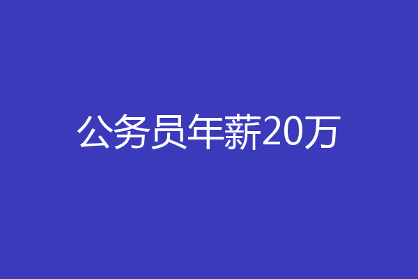 公务员年薪20万