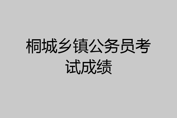 桐城乡镇公务员考试成绩
