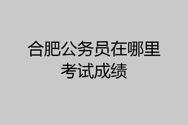 合肥公务员在哪里考试成绩