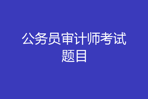 公务员审计师考试题目