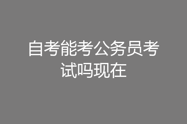 自考能考公务员考试吗现在