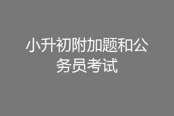 小升初附加题和公务员考试