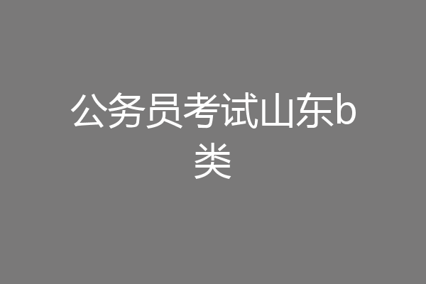 公务员考试山东b类