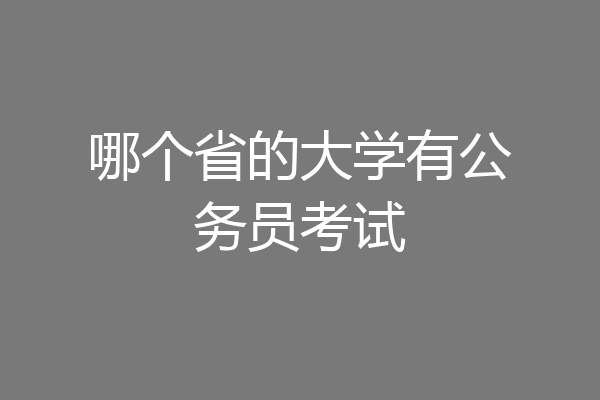 哪个省的大学有公务员考试