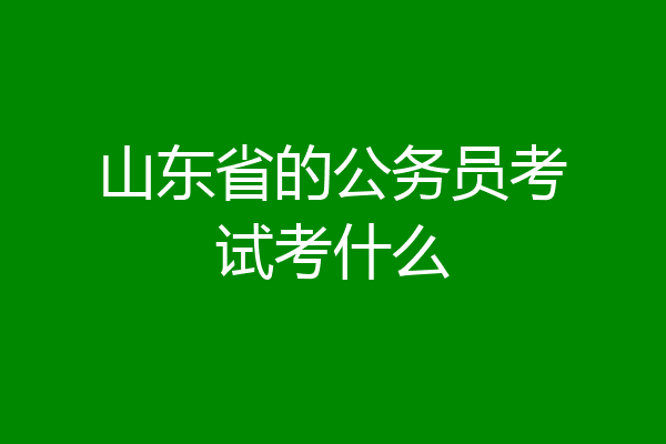 山东省的公务员考试考什么