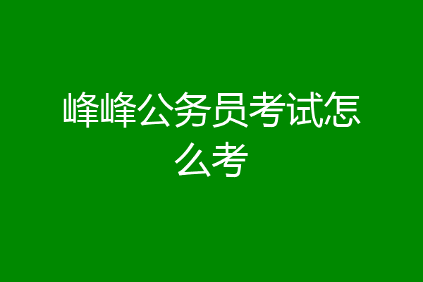 峰峰公务员考试怎么考