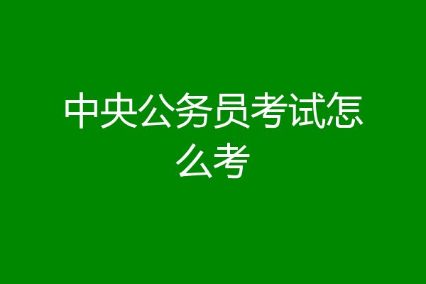 中央公务员考试怎么考