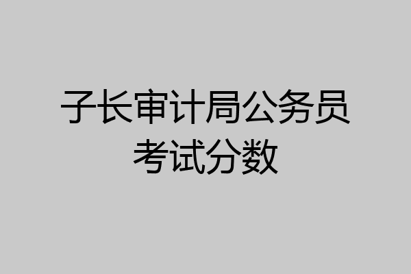 子长审计局公务员考试分数