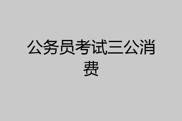 公务员考试三公消费