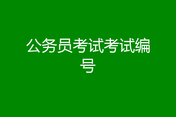 公务员考试考试编号