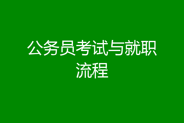 公务员考试与就职流程
