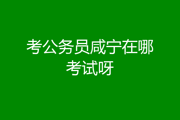 考公务员咸宁在哪考试呀