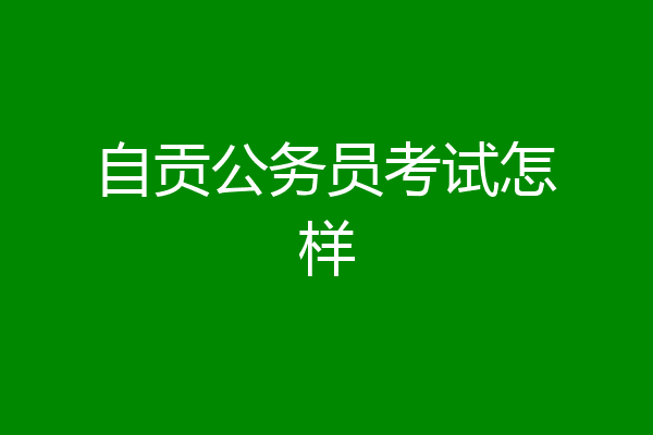 自贡公务员考试怎样