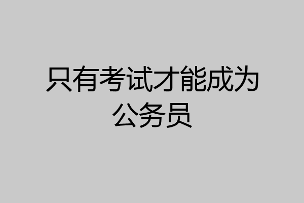 只有考试才能成为公务员