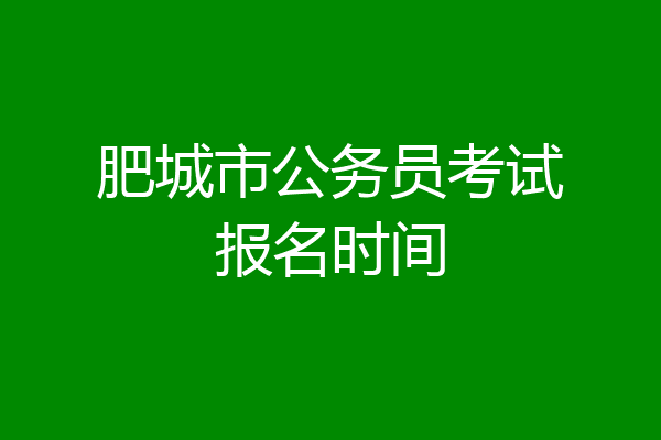 肥城市公务员考试报名时间