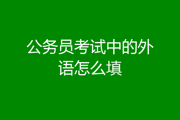 公务员考试中的外语怎么填