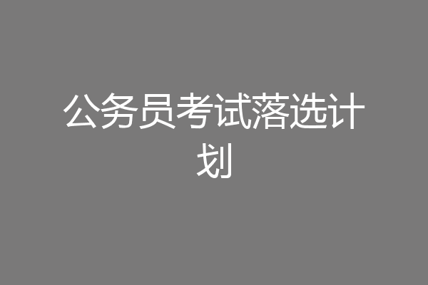 公务员考试落选计划