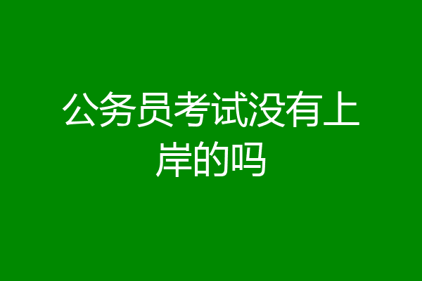 公务员考试没有上岸的吗