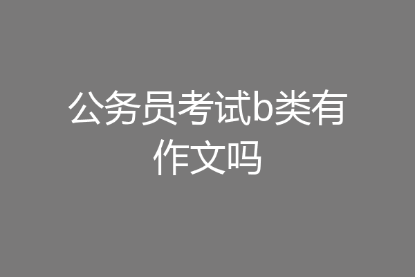 公务员考试b类有作文吗
