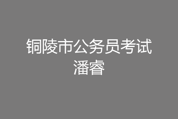 铜陵市公务员考试潘睿