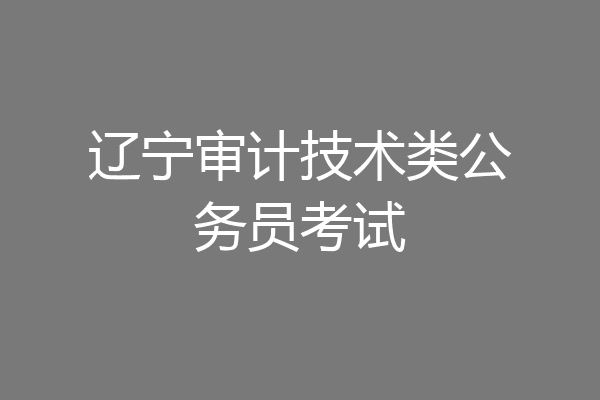 辽宁审计技术类公务员考试