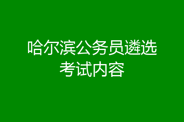 哈尔滨公务员遴选考试内容