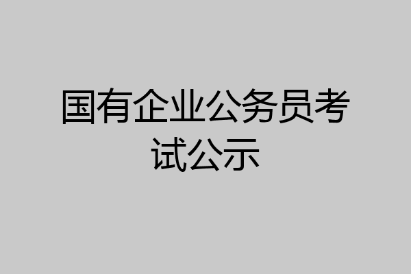 国有企业公务员考试公示