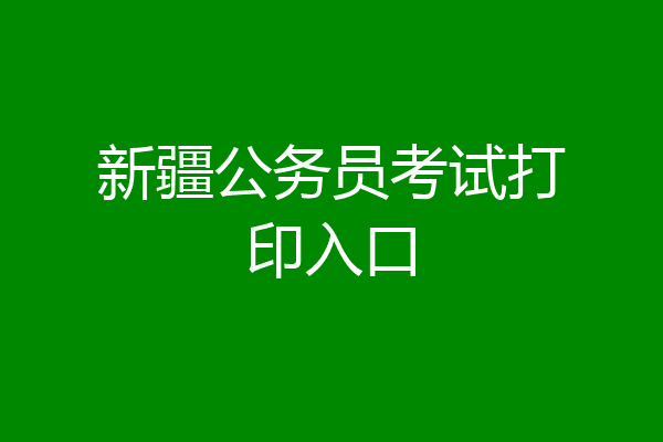 新疆公务员考试打印入口