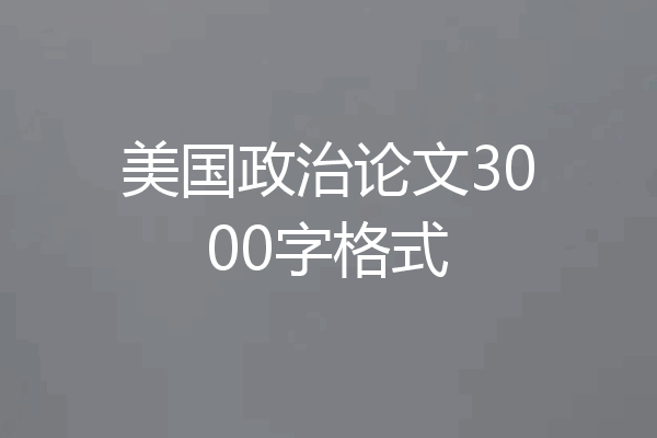 美国政治论文3000字格式