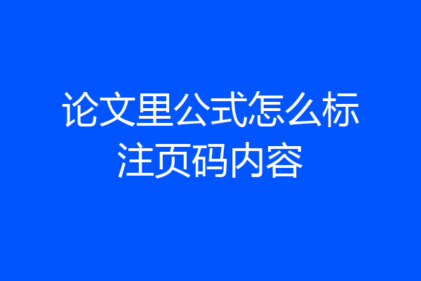 论文里公式怎么标注页码内容