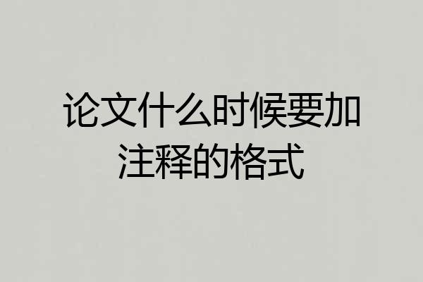 论文什么时候要加注释的格式