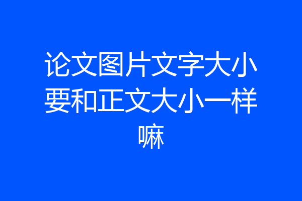 论文图片文字大小要和正文大小一样嘛