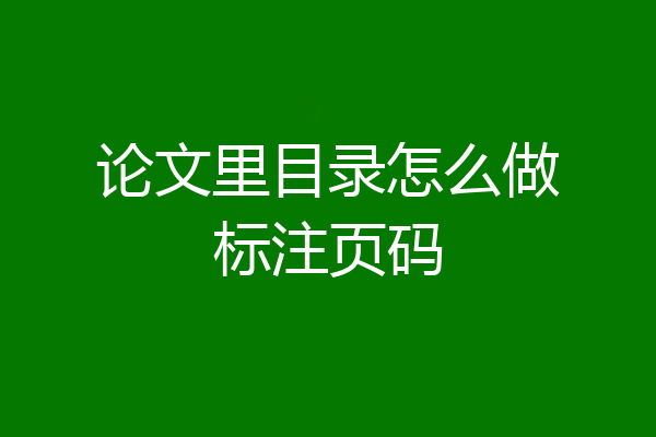 论文里目录怎么做标注页码