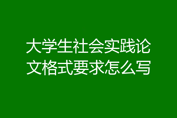 大学生社会实践论文格式要求怎么写