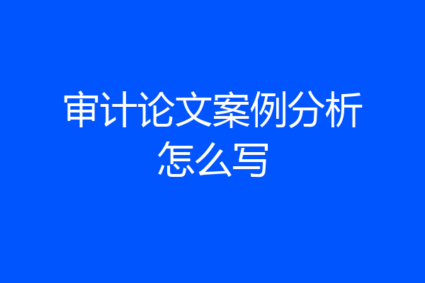 审计论文案例分析怎么写